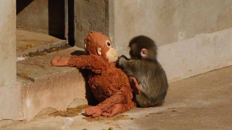 Dünya Punch'ı Konuşuyor!